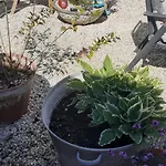 بيت للعطل De Schuur