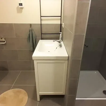 Dom wakacyjny De Schuur