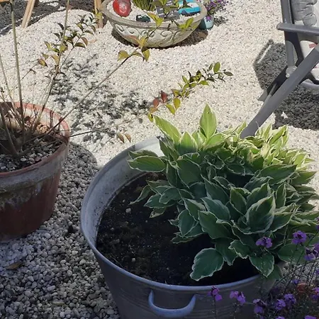 Hébergement de vacances De Schuur