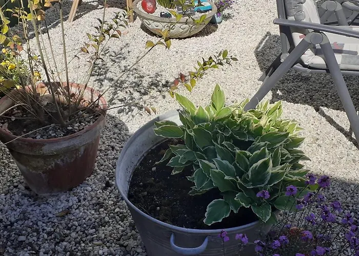 Casa vacanze De Schuur